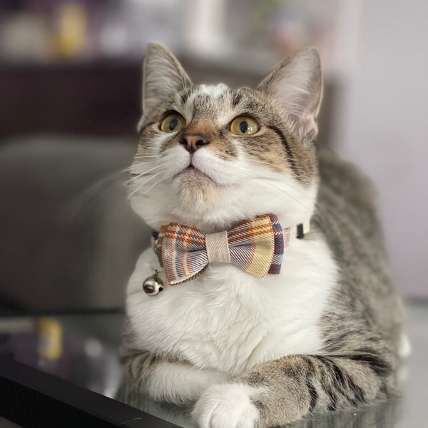 Bowtie Kitty Cat Collar