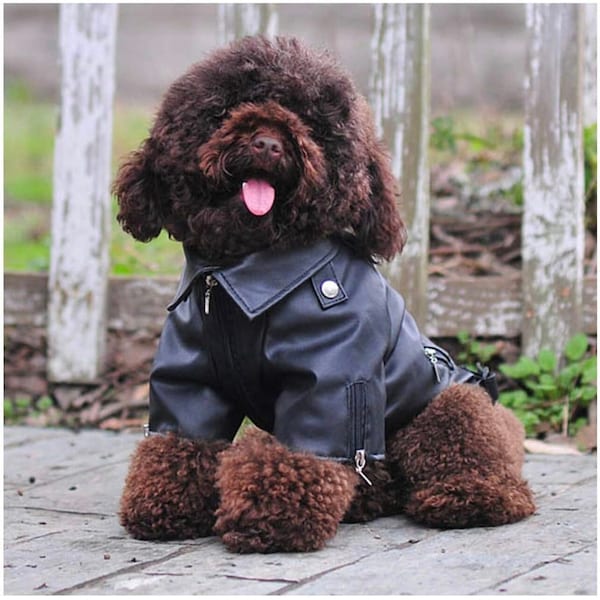 Leather Dog Jacket