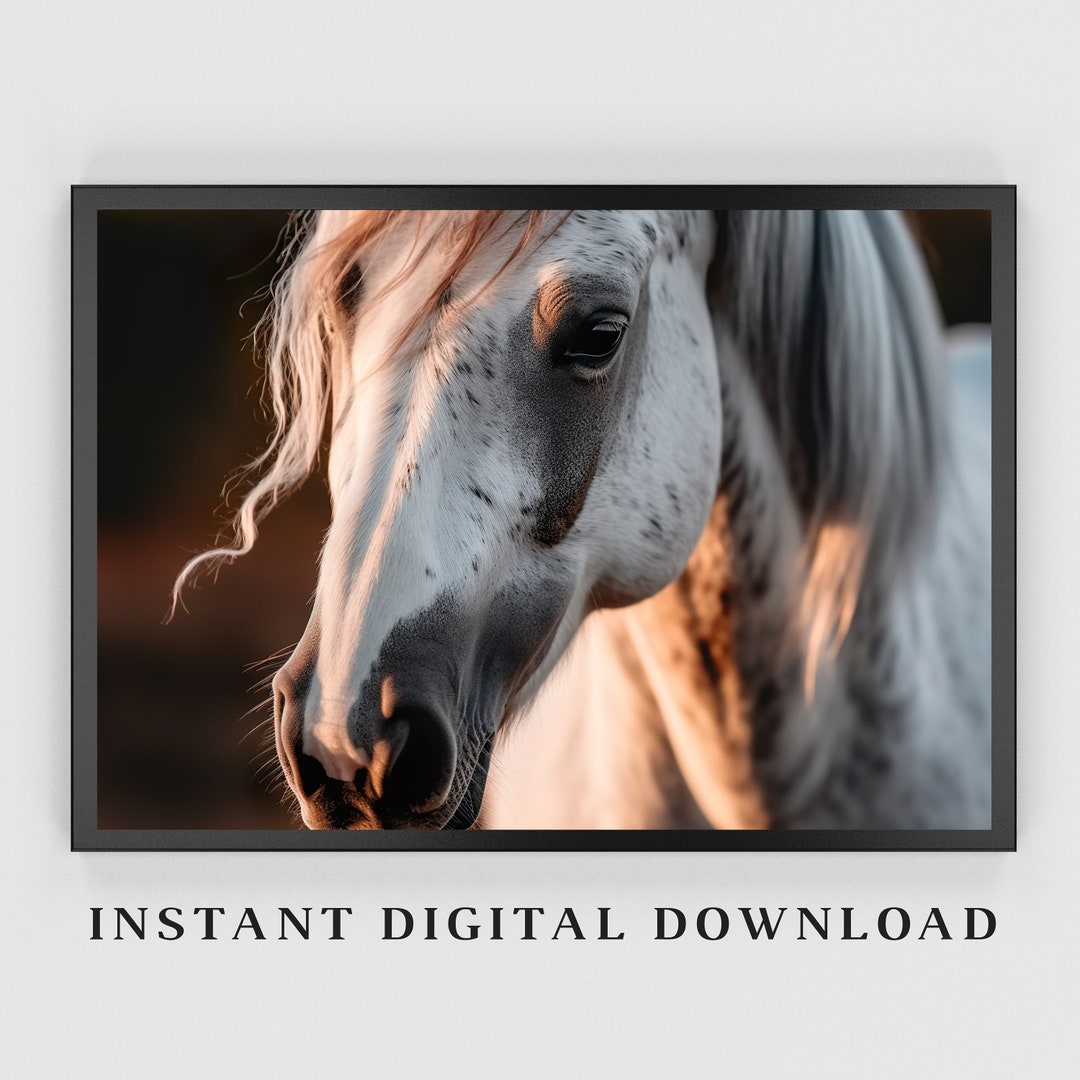 Printable Horse Rustic Western Wall Art horse Wall Art Etsy