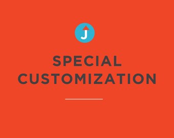 Special Customization Fee 10