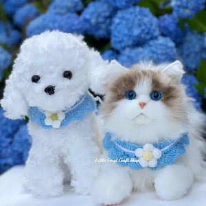 May include: A white fluffy dog and a white cat with blue eyes wearing matching blue and white crocheted collars with flower accents. The collars have the text "Little Corgi Craft Shop" on them. The animals are sitting in front of a background of blue flowers.