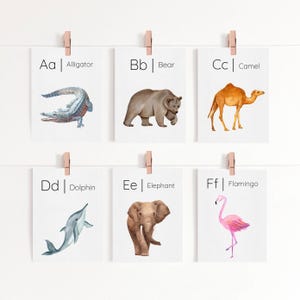Tarjetas didácticas del alfabeto de animales. Tarjetas didácticas Montessori con acuarela. Materiales de aprendizaje para niños con animales en acuarela. Descarga instantánea.