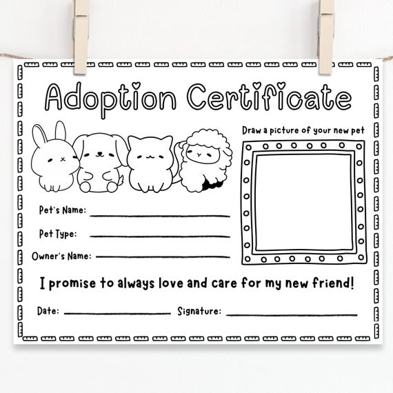Plushie Adoption Certificate: Stuffed Animal Party Activity (PDF)
