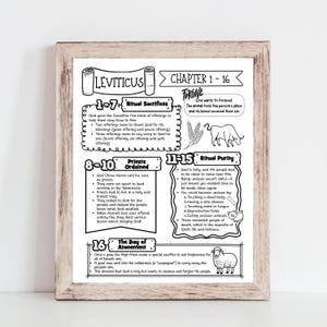 May include: A framed black and white print of the biblical book of Leviticus, with chapter summaries and illustrations. The text includes topics like ritual sacrifices, priests, ritual purity, and the Day of Atonement. The print is in a wooden frame.