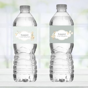 Editable Silly Goose Birthday Water Bottle Label (Digital Download)