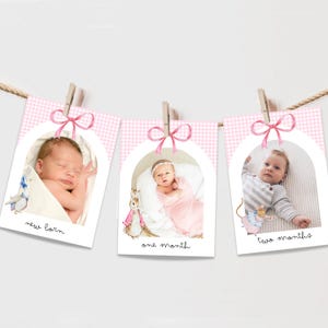 May include: A baby milestone photo banner with three cards. Each card features a baby photo, a pink gingham background, and a pink bow. The cards are labeled "new born", "one month", and "two months". The banner is suspended by wooden clothespins.