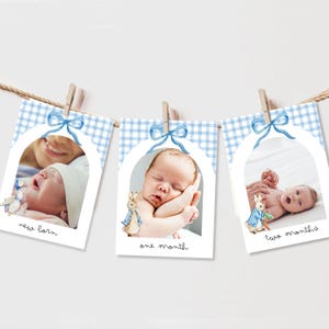 May include: A baby photo banner with three cards, each featuring a baby photo and a watercolor illustration of Peter Rabbit. The cards are blue and white gingham with a blue bow and the words "new born", "one month", and "two months".