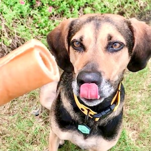 Super Chew Hide Roll for Dogs — All Natural Beef, Keeps Them Busy and Happy - No Preservatives, Made in the USA, Better Than Rawhide!