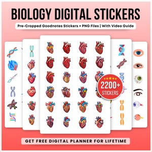 May include: Digital stickers for biology, featuring illustrations of hearts, DNA strands, eyes, and chromosomes. The stickers are pre-cropped for Goodnotes and come as PNG files. The image includes the text "BIOLOGY DIGITAL STICKERS" and "2200+ STICKERS".