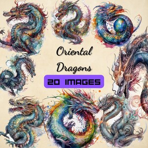 20 PNG Oriental Dragons, Fantasy Clipart, Animal Clip Art, Bundle for commercial use.
