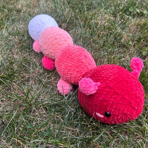 Caterpillar