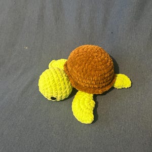 Turtle
