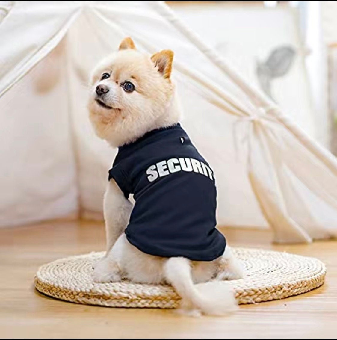 Dog top security vest
