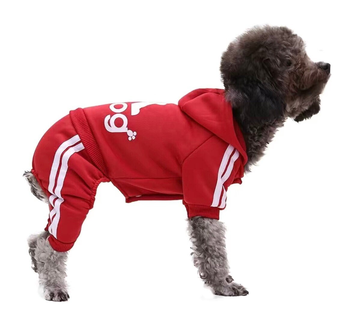 Details 83+ adidas jumpsuit for dogs latest ceg.edu.vn