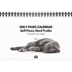 2026 Funny Cat Paw Calendar | Sarcastic Corporate Quotes Wall Calendar | Office Gift for Cat Lovers | Desk Calendar