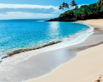 Relaxing Hawaii Beach Zoom Background for Microsoft Teams & Zoom - Tropical Island Theme with Palm Trees and Ocean View - Instant Download