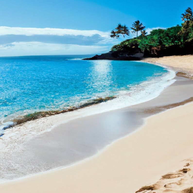 Relaxing Hawaii Beach Zoom Background for Microsoft Teams & Zoom