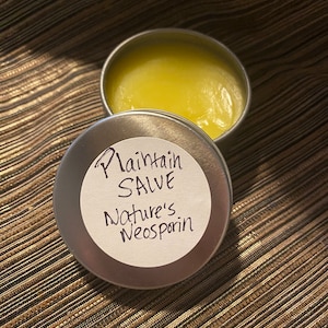 Plantain Salve, best bug bite reliever, eases painful stings