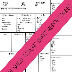 NICU Report Sheet