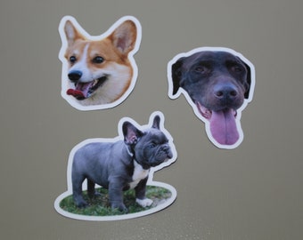 May include: Three dog head magnets, a brown and white corgi, a black labrador retriever, and a blue french bulldog.