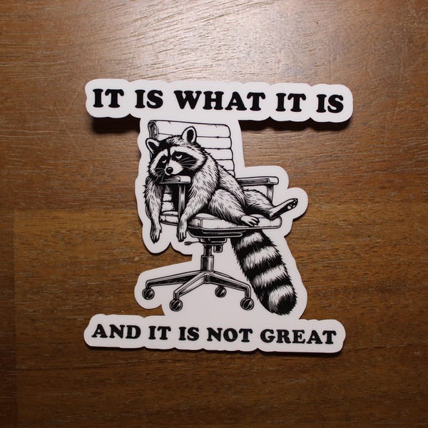 It Is What It Is Sticker, Funny Raccoon Meme Sticker Vintage Raccoon Sticker, Millennial, Gen Z Humor, Cute Raccoon,Waterproof Vinyl Sticker