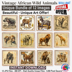 May include: A digital download of 12 vintage illustrations of African wild animals. The images are in a square format and feature a variety of animals, including a hippopotamus, leopard, zebra, elephant, monkey, lion, giraffe, and cheetah. The images are in a sepia tone and have a vintage aesthetic.