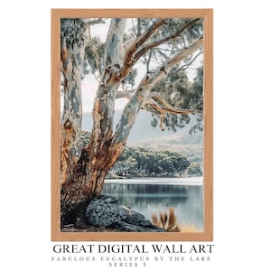 May include: A framed photograph of a large tree with white bark and a blue lake in the background. The tree is in the foreground and the lake is in the background. The image is taken from a low angle, so the tree appears to be very large. The lake is calm and the water is a light blue colour. The sky is a light blue colour and there are some clouds in the sky. The image is framed in a light wood frame.