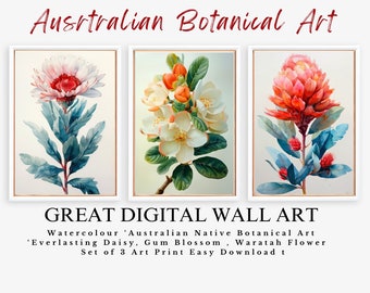 Australian 2 Botanical Art Native flower’s ‘Everlasting Daisy, Gum Blossom, Waratah Flower Australian flora Art Print| SET OF 3 - #2