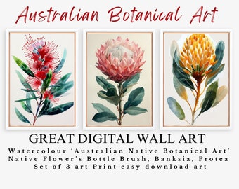 Australian 1 otanical Art Native flower’s Bottle Brush, Banksia, Protea Australian flora Art Print| SET OF 3 Australian Native Flower ART 1