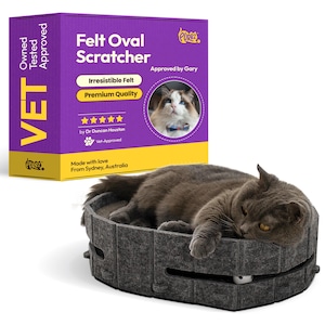 May include: A gray cat rests in a gray felt oval cat scratcher. The scratcher is next to a purple and yellow box that reads "Felt Oval Scratcher" and "Vet Approved". The box also features a photo of a cat.