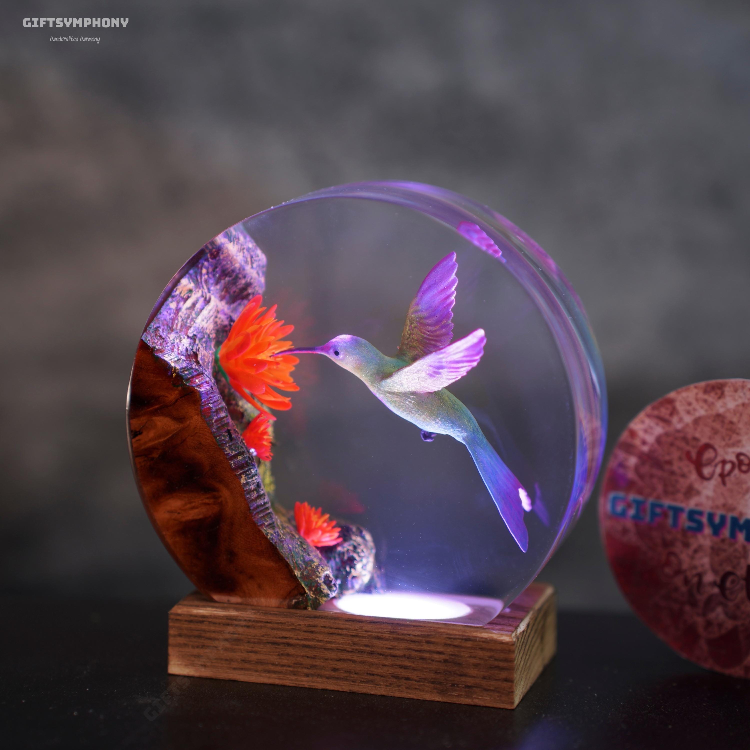 洋楽 Hummingbird Dirmond Nights DIAMOND NIGHTS / ダイアモンドの夜/HUMMINGBIRD/ハミングバード｜OLD