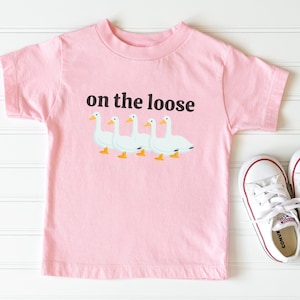 Silly Goose Shirt, Silly Goose on the Loose, Baby Tee 6M-24M, Baby Gifts Baby Shower Gift, First Birthday Gift image 1