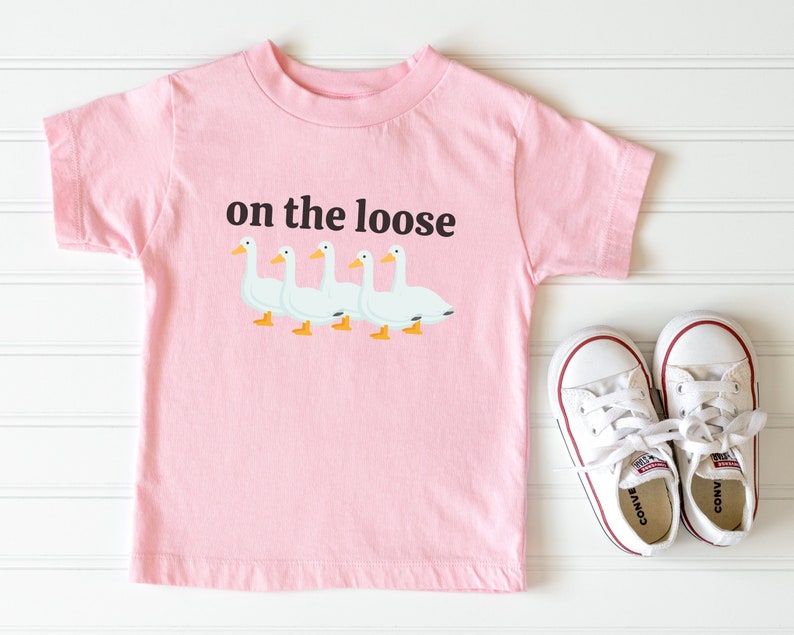 Silly Goose Shirt, Silly Goose on the Loose, Baby Tee 6M-24M, Baby Gifts Baby Shower Gift, First Birthday Gift image 1