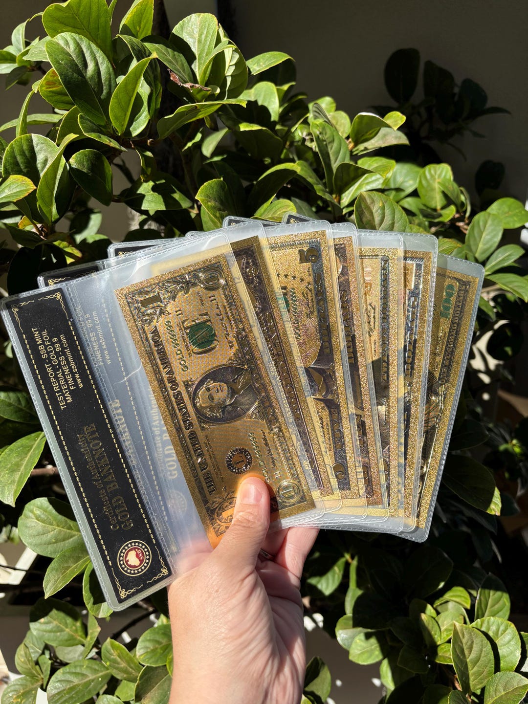Full Set of Gold Banknotes - Set of 7 X USA Notes in COA Frames ...