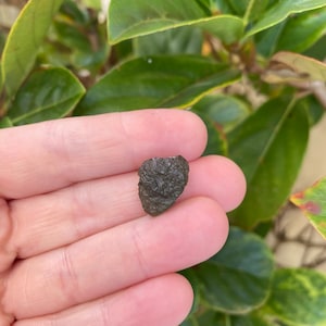 Genuine Moldavite - 1.6 Gram's Super Rare Tektite from The Czech Republic (E199)