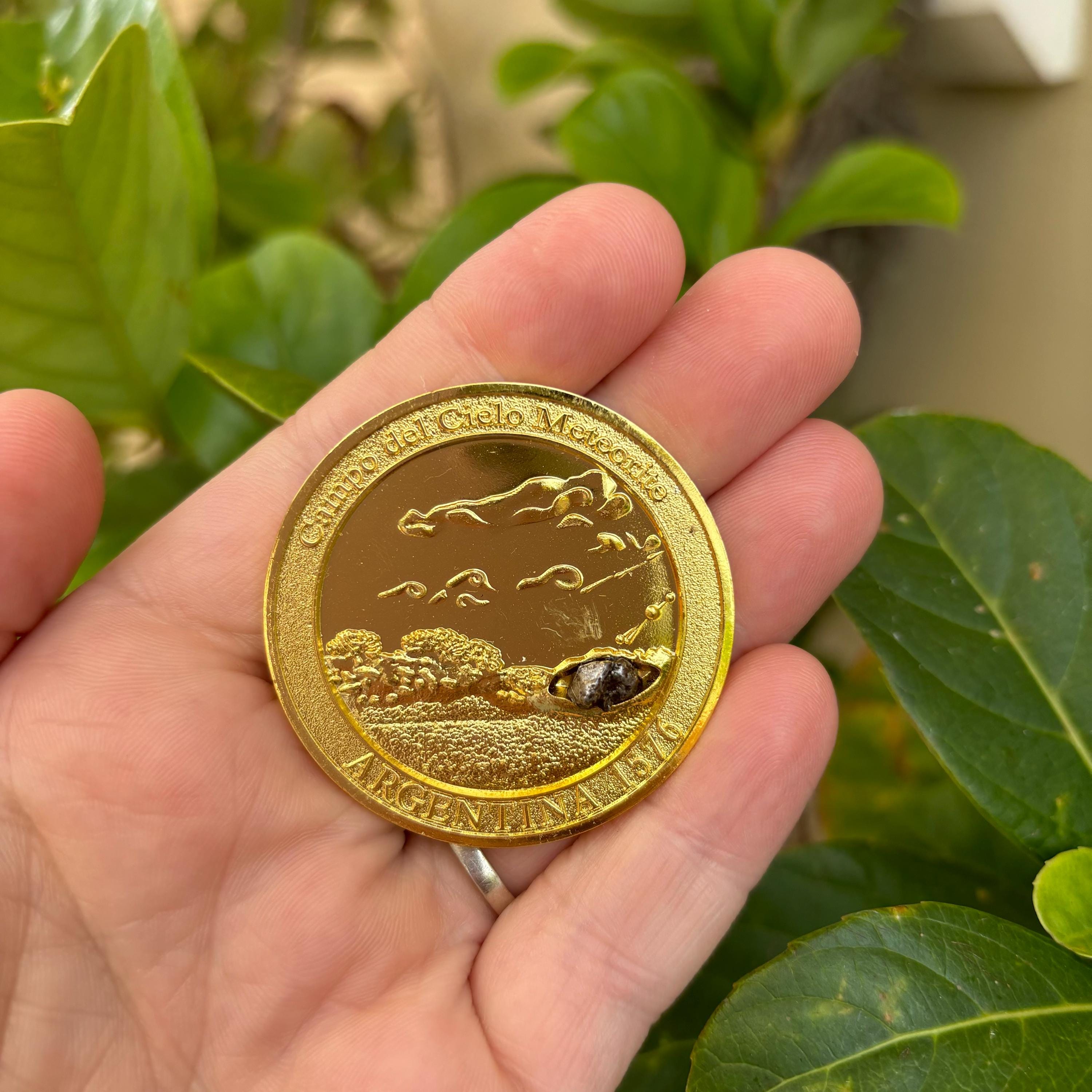 本物の隕石コイン - 本物の隕石を使用した限定版コイン（金仕上げ）