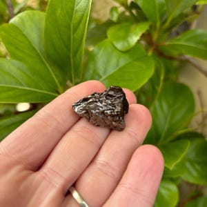 Genuine Meteorite - Large 24 Gram Campo Del Cielo Meteor from Argentina (E335)
