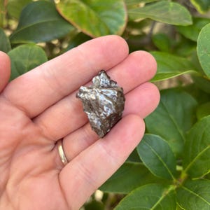 May include: A small, irregularly shaped, metallic-looking rock with a textured surface. The rock is held in an open hand, with green foliage in the background. The rock appears to be a meteorite.