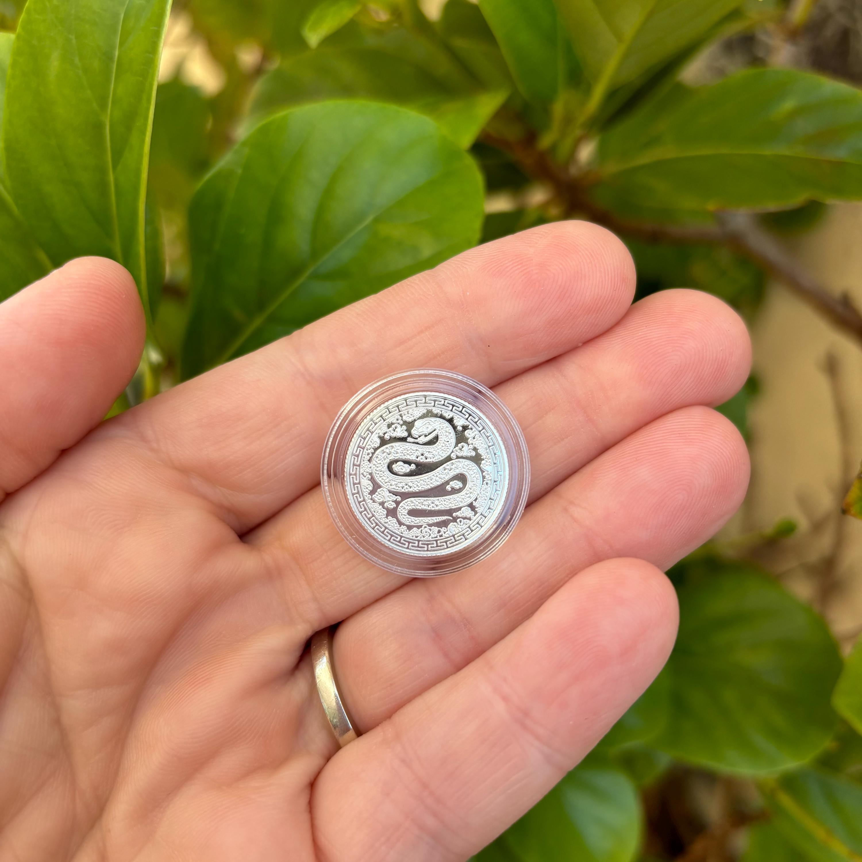 Silver Star Australia 1/10oz Pure 999 Silver Bullion Coin - Year of the  Snake - Etsy Canada