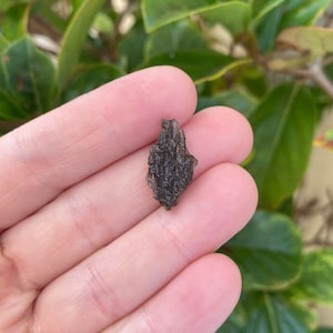 Genuine Moldavite - 1 Gram Super Rare Tektite from The Czech Republic (E198)