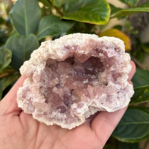 Pink Amethyst Geode from Argentina - Rare & Very High Grade (#E490)