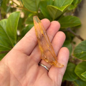 May include: A long, thin piece of amber with a light brown colour and a translucent appearance. The amber has a rough, textured surface and appears to have been naturally formed.