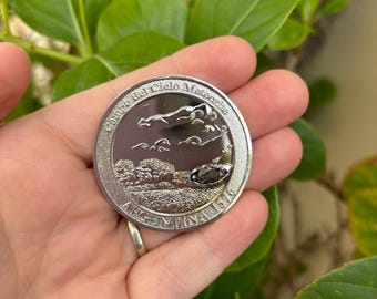 隕石入り銀貨 il_340x270.6422219942_m0vr.jpg