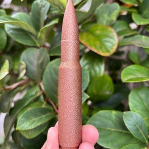 May include: A copper-colored bullet with a textured surface. The bullet is held against a backdrop of green leaves. The bullet's tip is pointed, and the casing has a ridged texture.