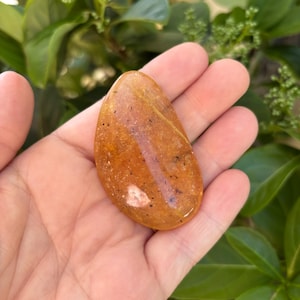 Puede incluir: Una gema pulida en forma de lágrima, en tonos naranja y marrón, sostenida en una mano. La piedra tiene una superficie brillante con inclusiones visibles y una apariencia natural y orgánica. El fondo presenta follaje verde.