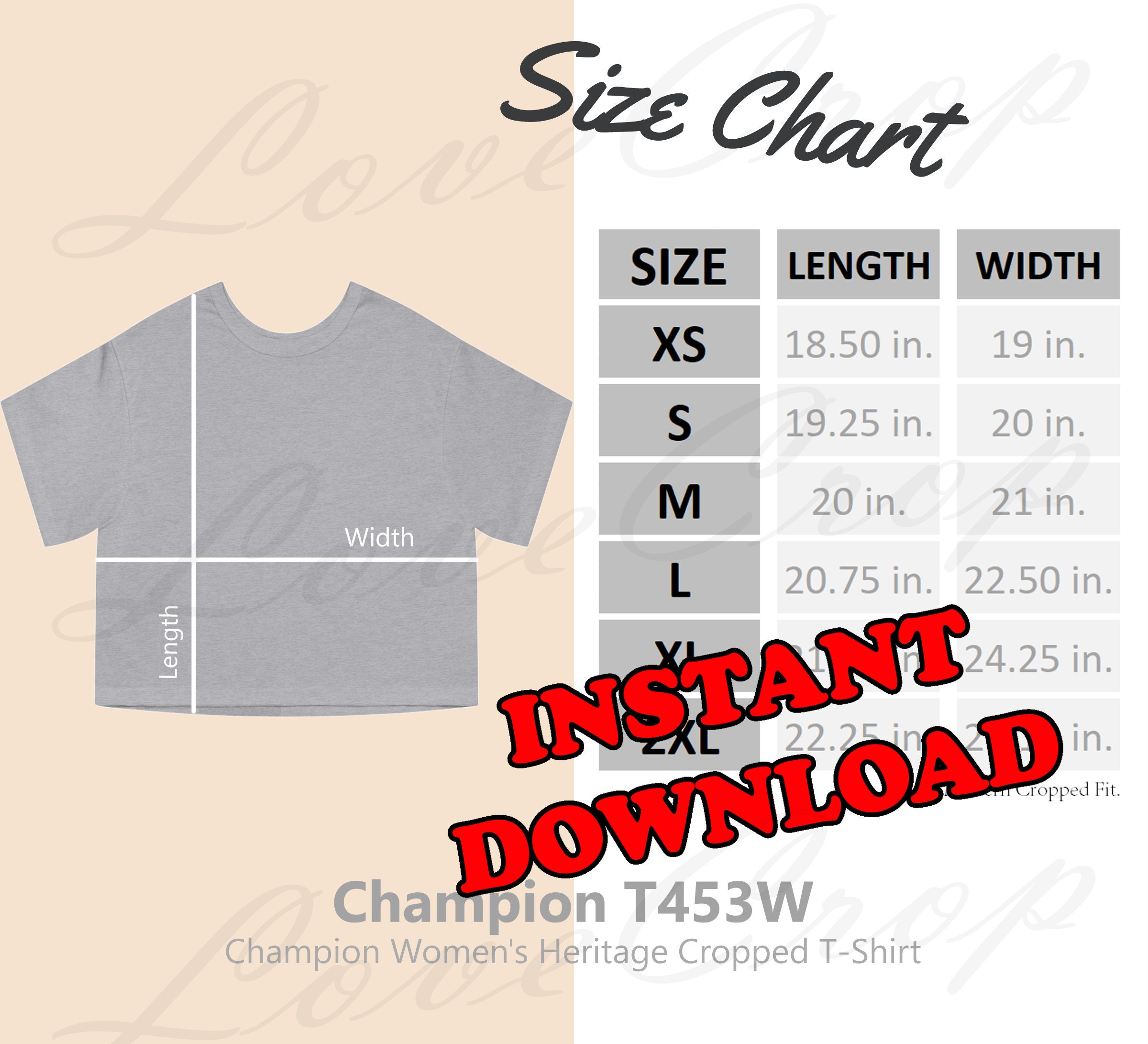 Champion Size Guide - Etsy Hong