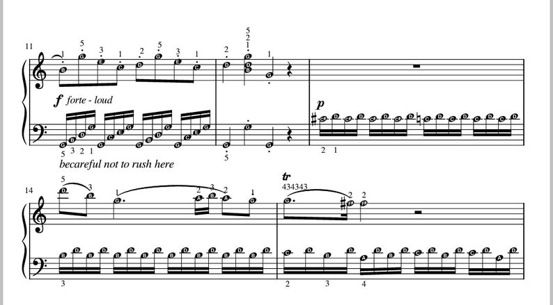 May include: A sheet of music with musical notation and instructions for playing a piece of music. The music includes the words "forte-loud" and "becareful not to rush here".