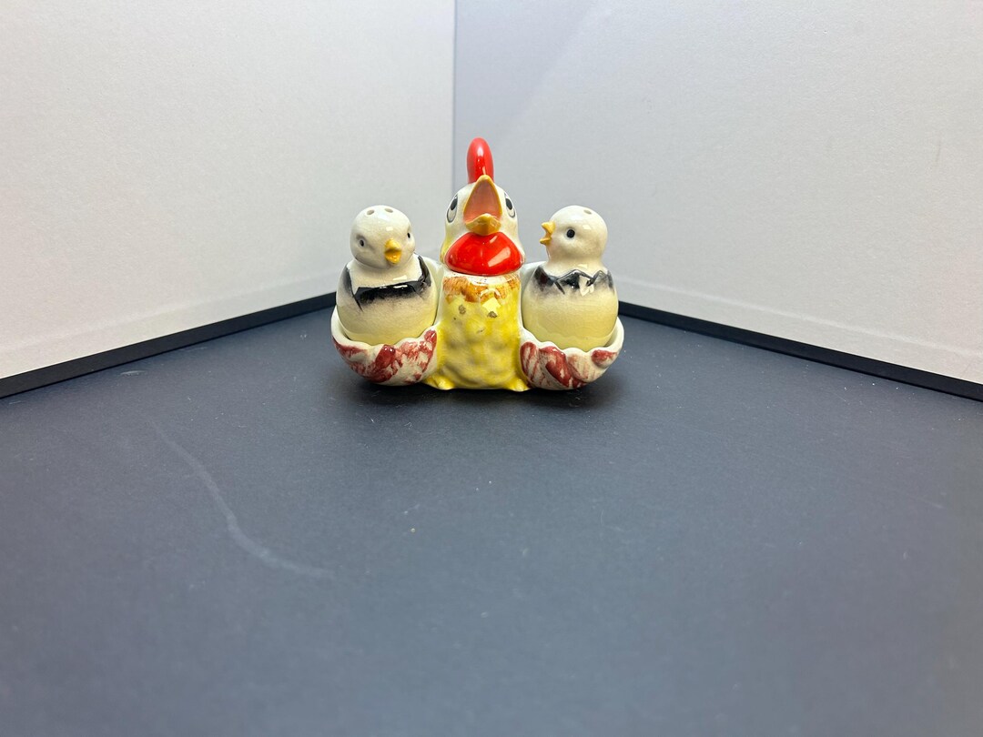 Hen and Hatching Chicks Salt and Pepper - Etsy