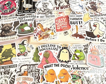 Puede incluir: Una colección de pegatinas de vinilo variadas con ilustraciones humorísticas de ranas, patos, mapaches y esqueletos, acompañadas de textos ingeniosos como I Decline to Socialize y What the Duck, dispuestas en un collage denso.