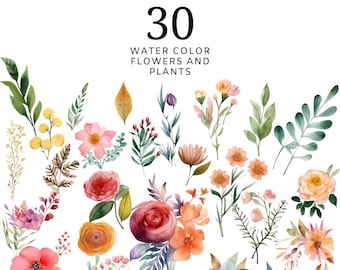 30 Boho florals | watercolor clipart |wild flowers | wildflower clipart | watercolor set | Spring Flowers Leaves | for invites | PNG clipart